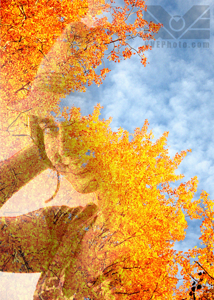 In this photo, I combined another portrait shot (with hat accessory) with a shot of golden autumn leaves near High Level, Alberta. Here, again the portrait was made black and white, and partially see three, with some of the portrait erased completely. Here, I tried to give the feeling of a seemless fade from portrait to nature. 